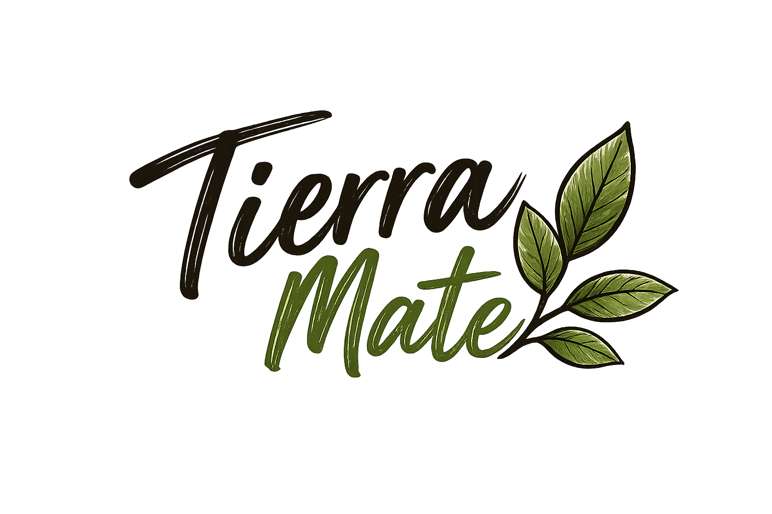 Tierra Mate — Yerba Orgánica Premium